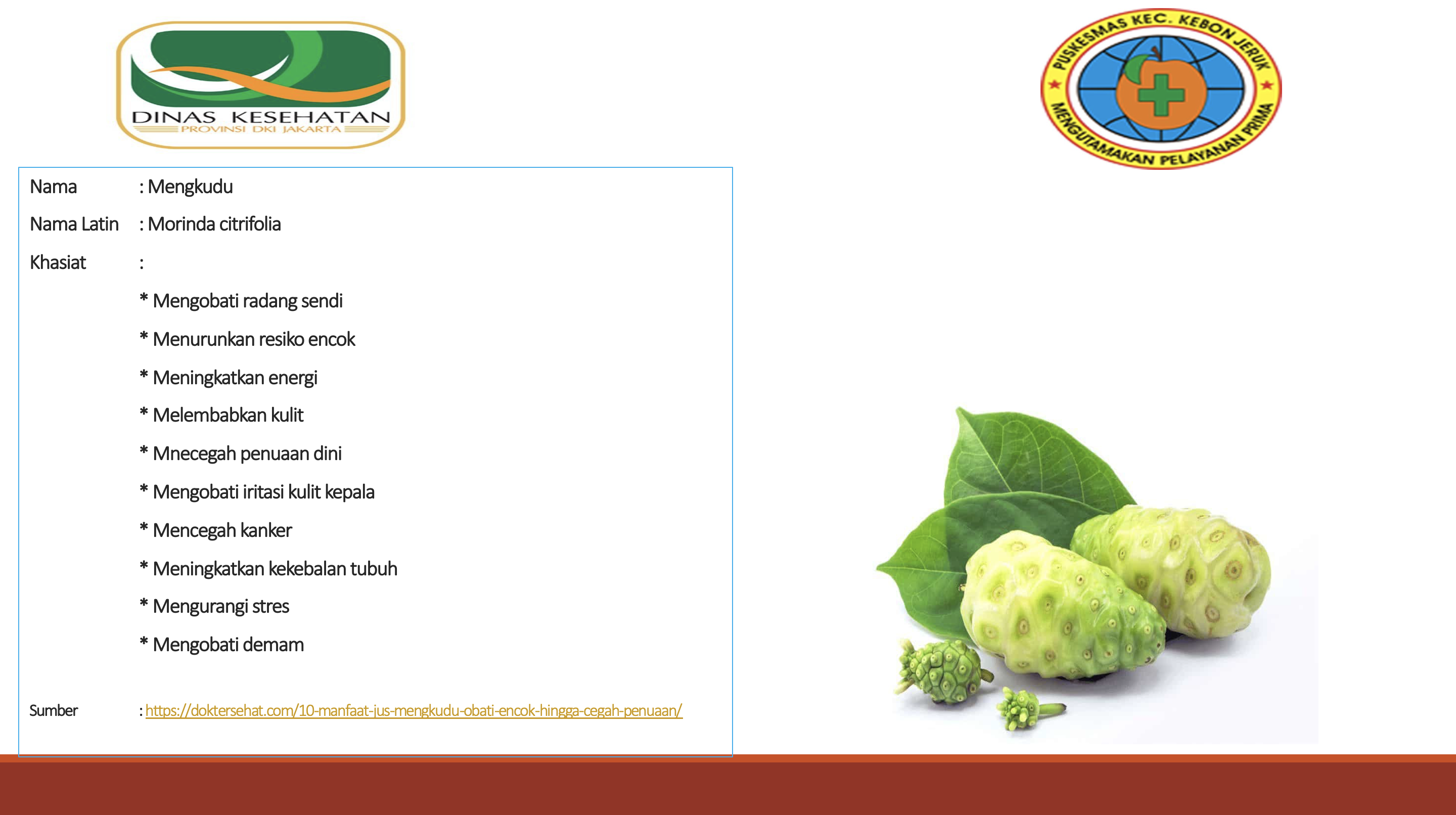 7 Manfaat Luar Biasa Jus Mengkudu Bagi Kesehatan: Termasuk Baik untuk Kesehatan Jantung - Serambi Indonesia